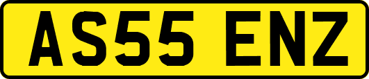 AS55ENZ