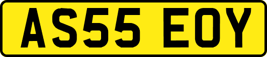 AS55EOY