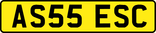 AS55ESC