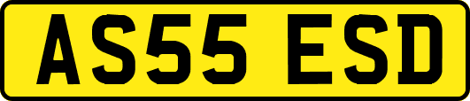 AS55ESD