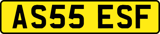AS55ESF
