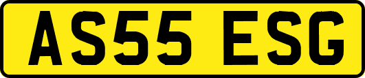 AS55ESG