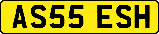 AS55ESH