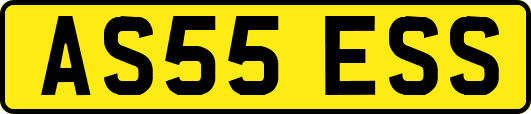 AS55ESS