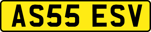 AS55ESV