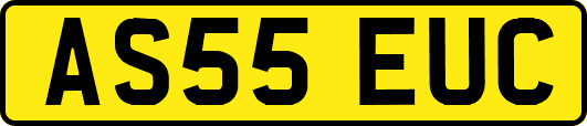 AS55EUC