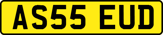 AS55EUD