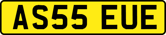 AS55EUE