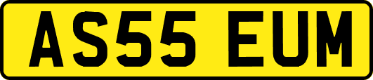 AS55EUM