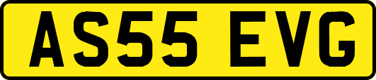 AS55EVG
