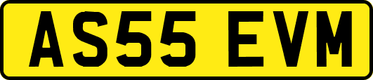 AS55EVM