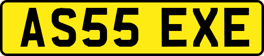 AS55EXE