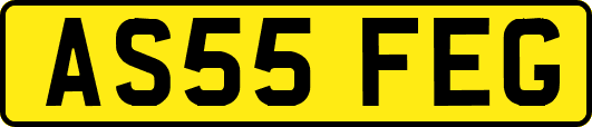 AS55FEG
