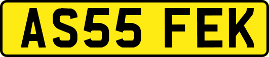 AS55FEK