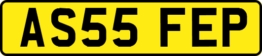 AS55FEP
