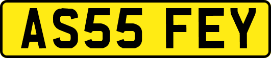 AS55FEY
