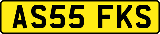 AS55FKS