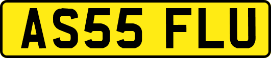 AS55FLU