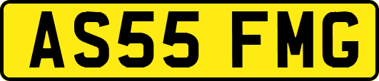 AS55FMG