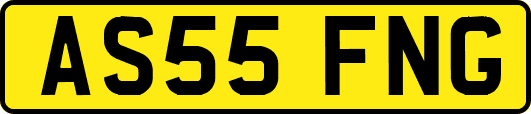 AS55FNG