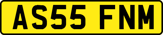 AS55FNM