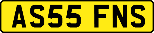 AS55FNS