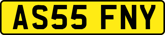 AS55FNY