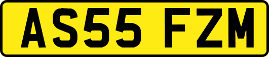 AS55FZM