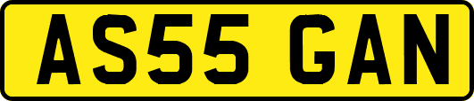 AS55GAN