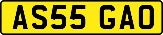 AS55GAO