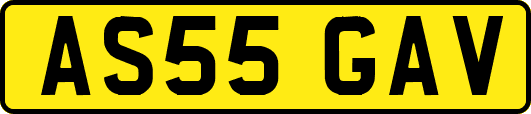 AS55GAV
