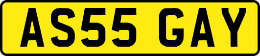 AS55GAY