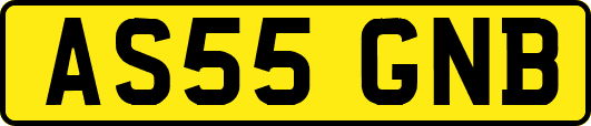 AS55GNB