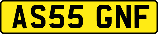 AS55GNF