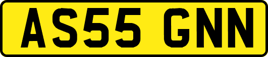 AS55GNN