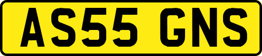 AS55GNS
