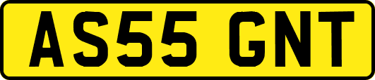 AS55GNT