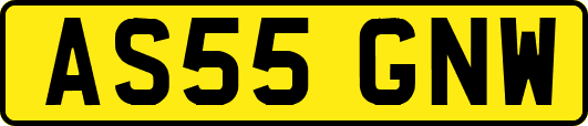 AS55GNW