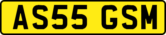 AS55GSM