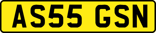 AS55GSN