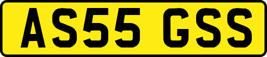 AS55GSS