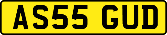 AS55GUD