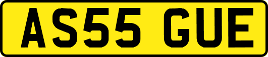 AS55GUE
