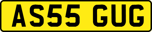 AS55GUG