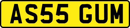AS55GUM