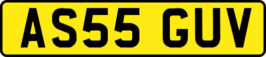 AS55GUV