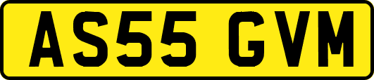 AS55GVM
