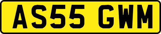 AS55GWM