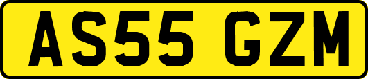 AS55GZM