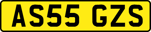AS55GZS